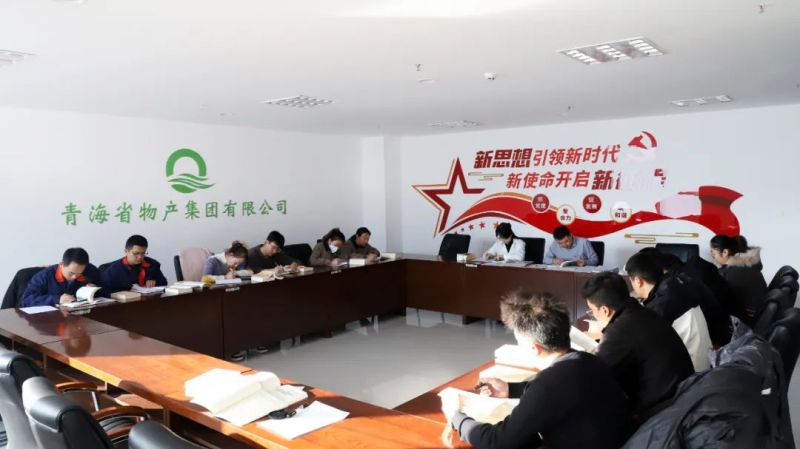 凝心鑄魂學(xué)思想 充電蓄能促提升&mdash;&mdash;集團團委組織開展團員和青年主題教育&ldquo;挺膺擔當&rdquo;專題集中學(xué)習(xí)