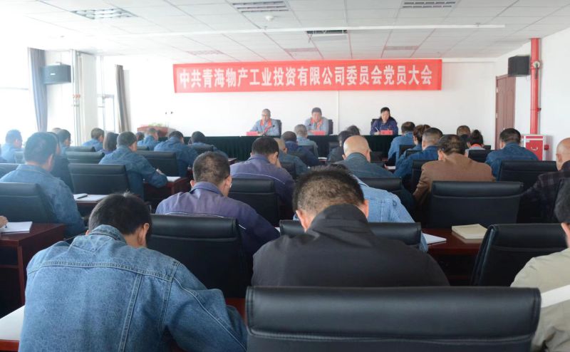 實干擔當拼搏趕超 為奪取新時代物產工投綠色低碳高質量發(fā)展新勝利不懈奮斗 &mdash;&mdash;物產工投公司黨委召開換屆選舉大會