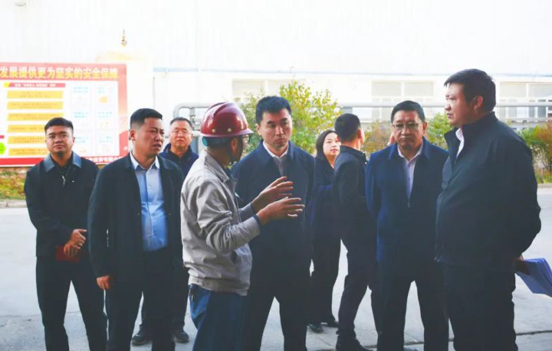大通縣委副書記、縣長馬明旭一行蒞臨工投公司調(diào)研指導