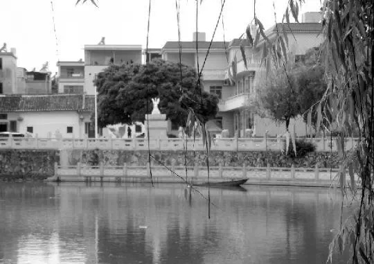 老鄉(xiāng)眼里的李河君：陌生富豪，夫人助其發(fā)財(cái)